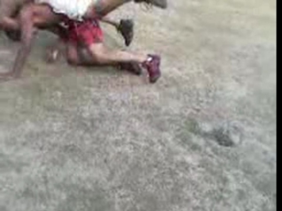 Fight WiL Vs BichoUnE