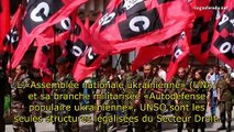Secteur Droit de l'Euromaidan (2) sous-titres fr