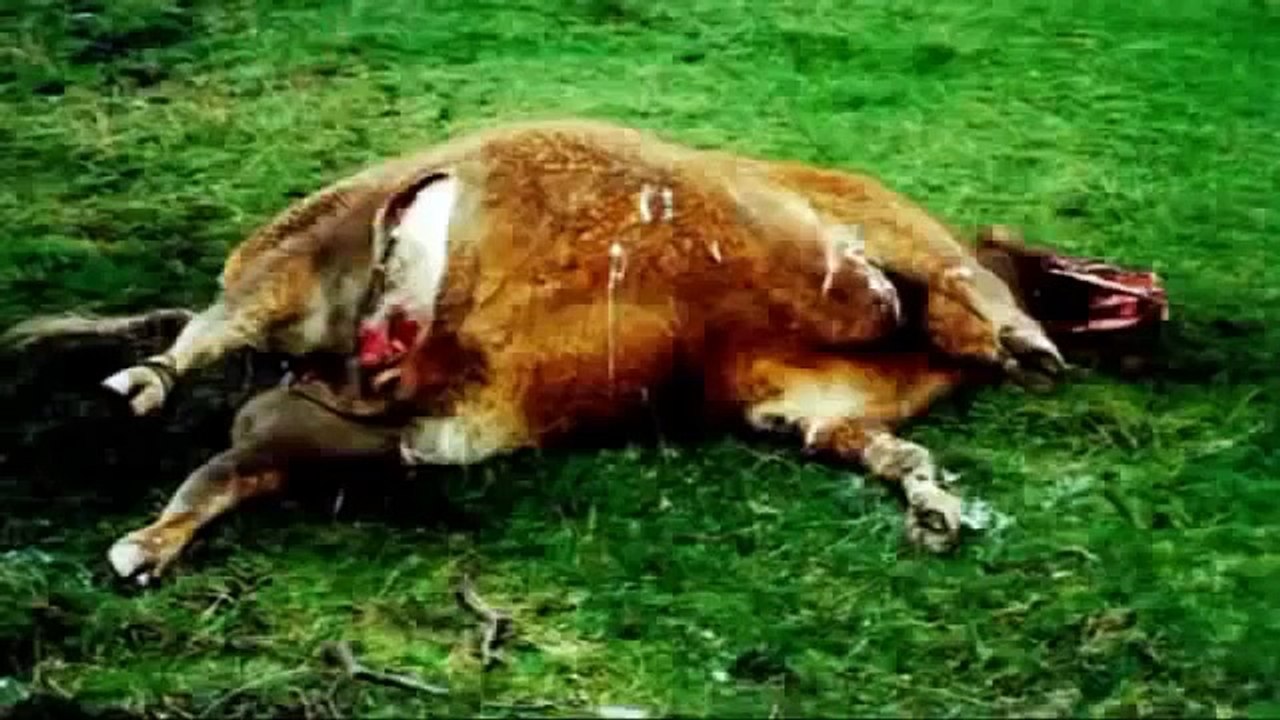 UFO and Alien Full Documentary 2014