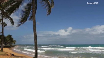 How Earth could lose its oceans