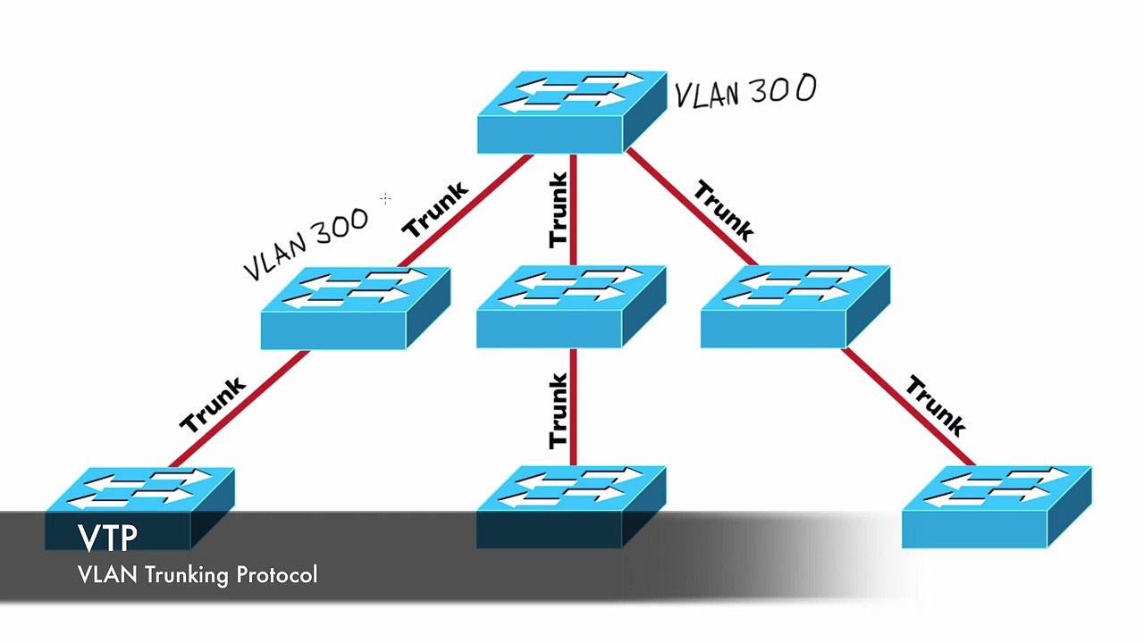 100.VTP Theory
