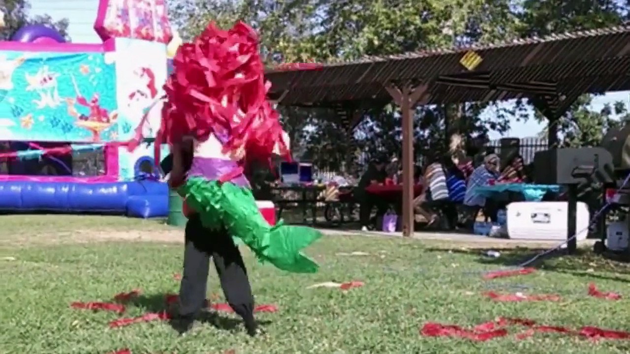 People VS Pinata-Funny Video
