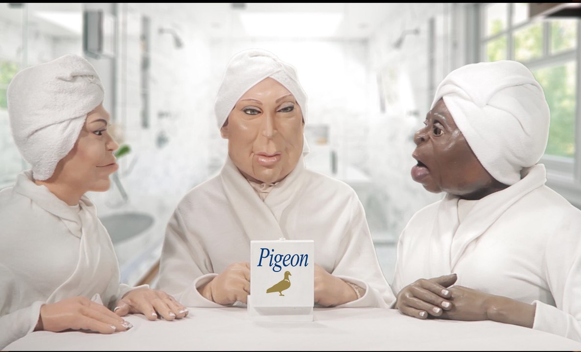 Dove Pigeon