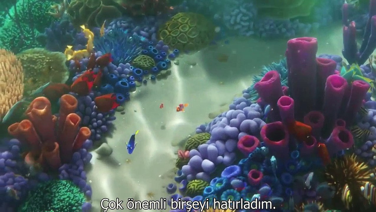 Kayıp Balık Dory FRAGMAN #1 (2016) - Türkçe Altyazılı HD