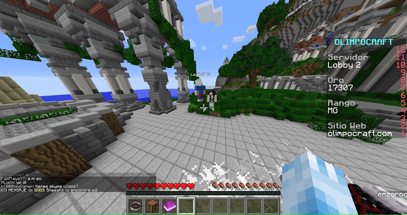 Hack Fly 8