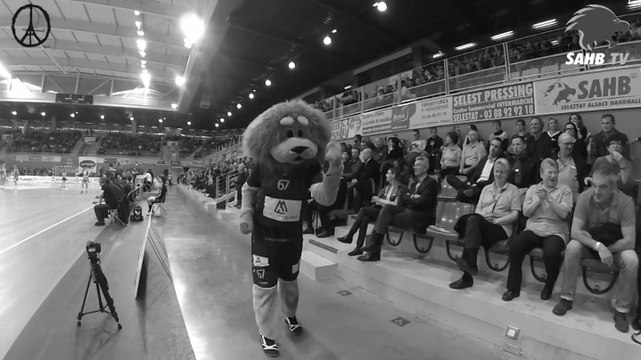 HANDBALL PRO D2 : SAHB - Limoges