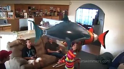 Flying Fish-Must Watch