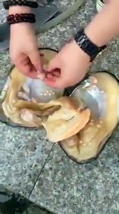 Real Pearl ...Amazing video