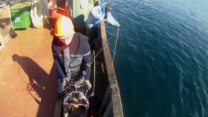 экспедиция