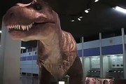 恐竜センターのライブショウ
