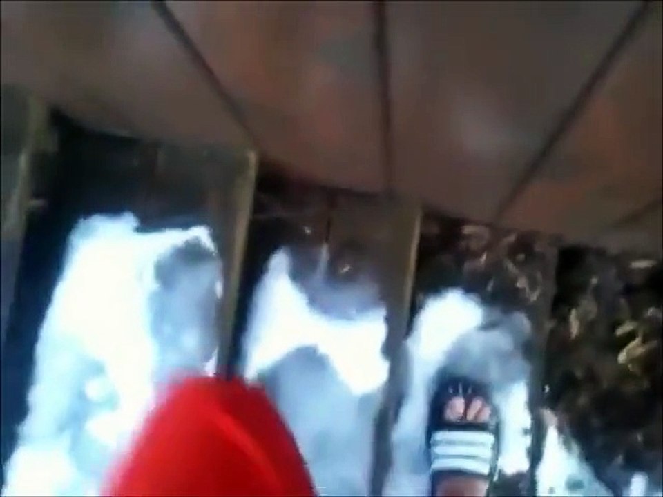 WEREWOLF SEEN IN MICHIGAN