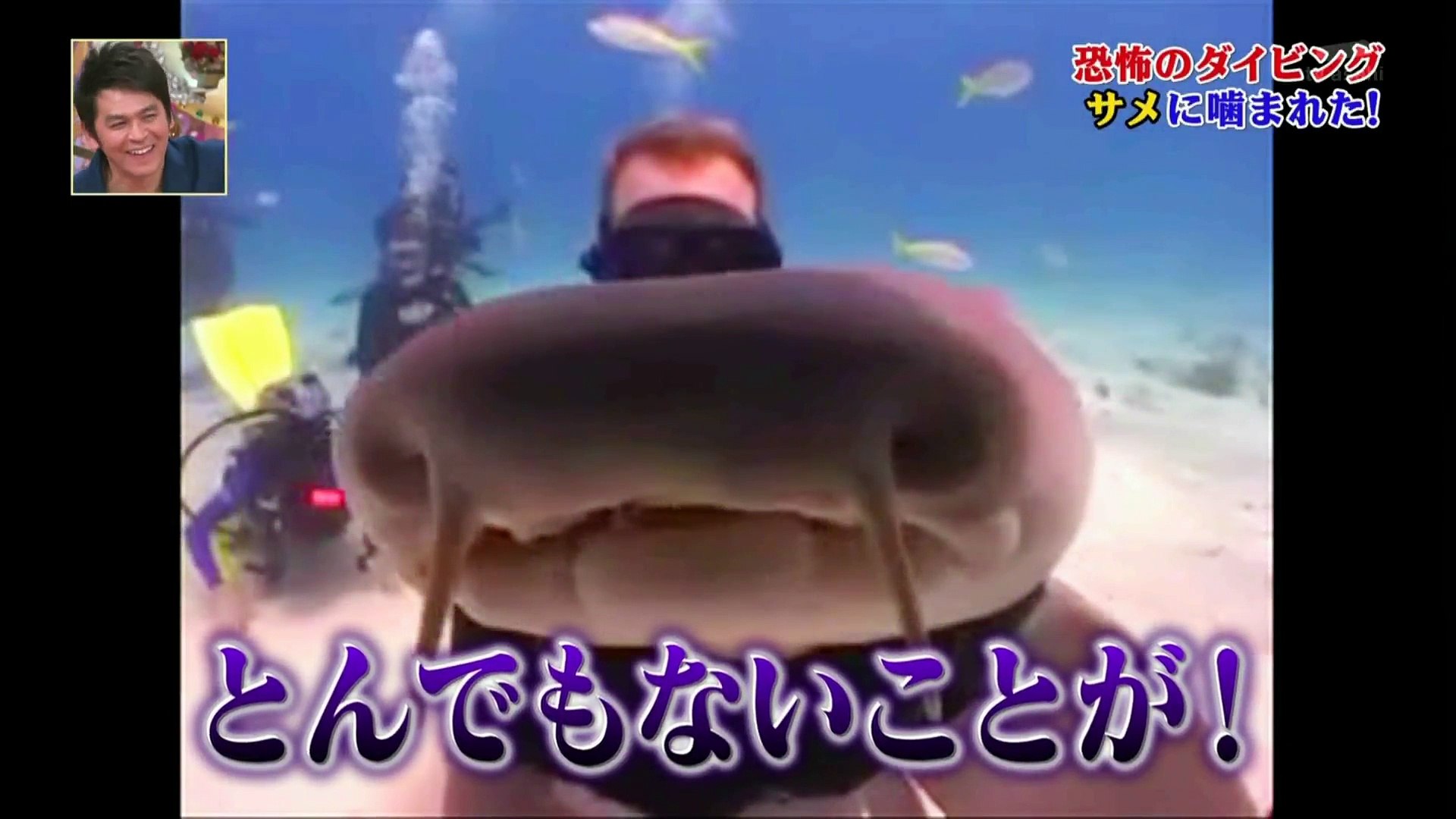 トリハダ 恐怖のダイビング サメに噛まれた 動画 Dailymotion