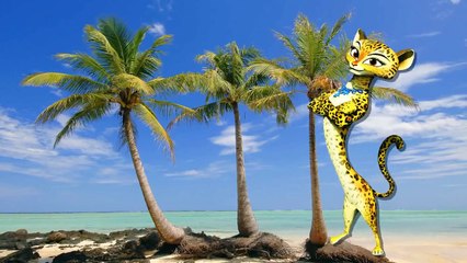 Finger Family Children Nursery Rhymes Madagascar Cartoons For Children | Finger Family Rhy