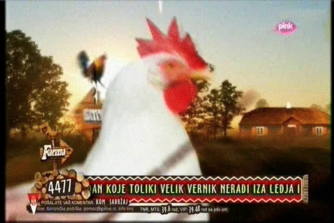 Pregled dana /Stanija #Farma 6 /18.11.2015.