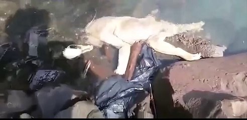 Does this clip show the corpse of a feared Chupacabra vampire