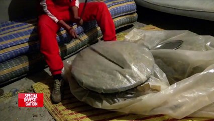 Au royaume du shit : extraction de la résine de cannabis