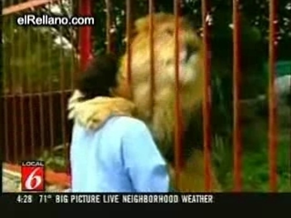 Le Calin Mortel