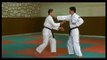 Técnicas de Uechi-ryu Karate