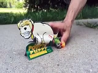 Monkey Toilet Bum-Mvdqs5d0EEU