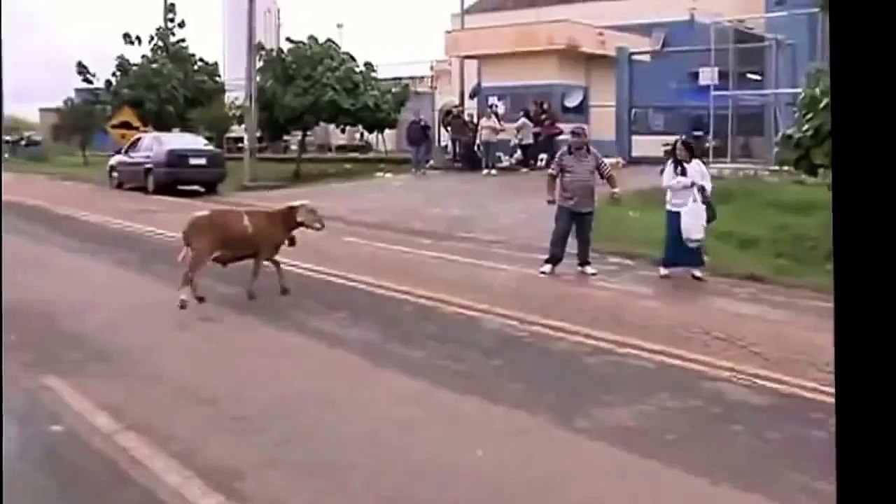 Goat attack