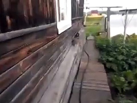 Такого я точно не видел