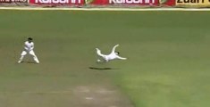 Kane Williamson Extraordinary Catch in Slip