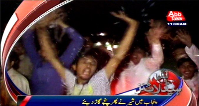 Punjab LB Elections 2nd phase PML-N takes lead securing 894 seats