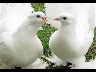 +91-9501893254Kala jadu specialist for black magic IN BANGALORE