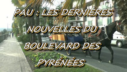 LES W-D.D. MICHOU NEWS - 18 NOVEMBRE 2015 - LES DERNIÈRES NOUVELLES DU BOULEVARD DES PYRÉNÉES..