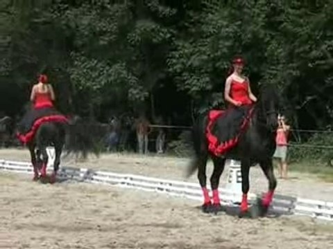 Journées Cheval Baroque Frisons