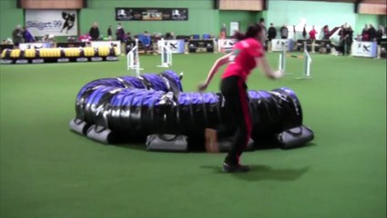 Agility German Classcics 2015 Team "the Blackberries"