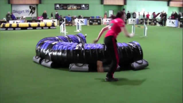 Agility German Classcics 2015 Team the Blackberries