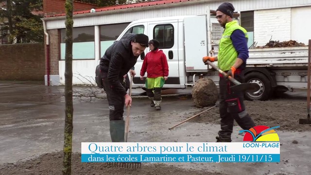 4 arbres pour le climat dans les écoles Lamartine et Pasteur de Loon-Plage