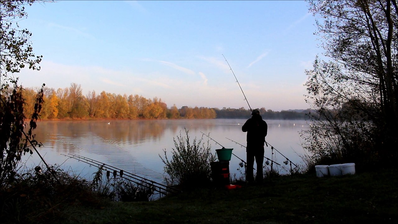 session a  G.I carp novembre 2015