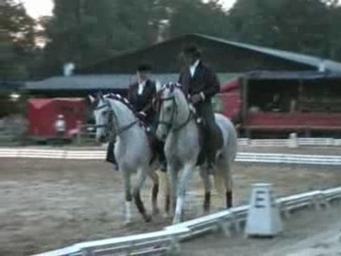 Journées Cheval Baroque Pas de deux