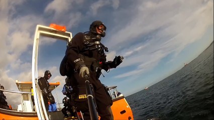 GoPro_ Seal Belly Rub