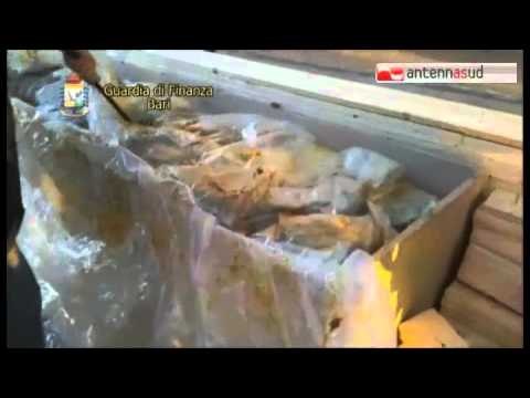 Tg Antenna Sud - Porto, maxi sequestro di marijuana