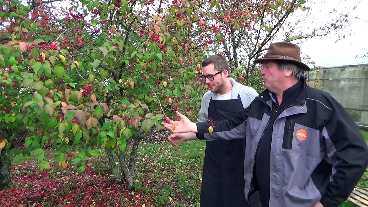 Les arbustes avec les Experts Jardins de France Bleu Belfort Montbéliard
