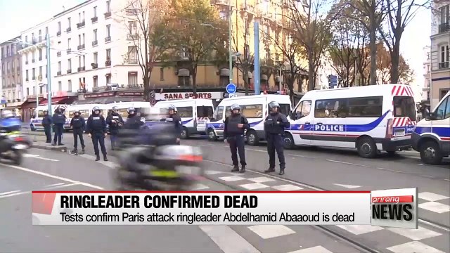 Paris attacks ringleader Abdelhamid Abaaoud dead