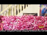 03-Syed Faraz Ali Shah Masoomi 2015-16 Nohay l  Mazloom Baba l Muharram 1437 Hijri