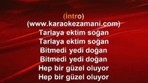 Sinan Erkoç - Tarlaya Ektim Soğan - 1995 TÜRKÇE KARAOKE