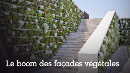 Que cachent ces immeubles aux façades vertes ?