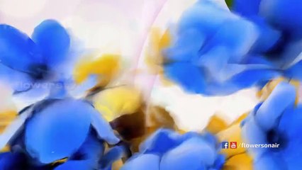 Kuttykkalavara - Nov12 | EP#16 | Today Promo