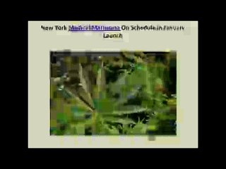 New York Medical Marijuana On Schedule in January Launch