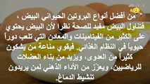 الفوائد الأساسية والصحية لأكل البيض