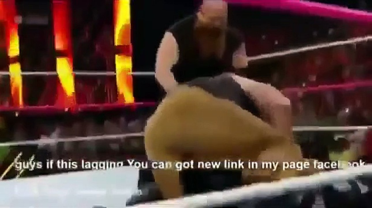 The Wyatt Family attacked Undertaker in WWE Hell In A cell 2015