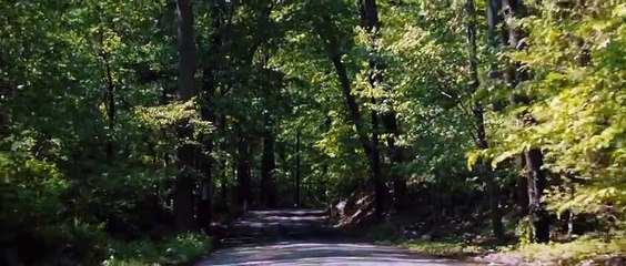 The Benefactor (2016) Trailer - Dakota Fanning, Theo James