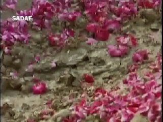 Pakistan drama Serial ((( Last ))) Episode (41_41) Landa Bazar