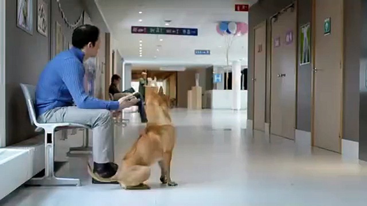 How Cute - Watch Video