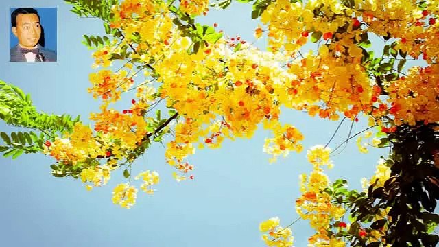 Baksa Slabdek | sin sisamuth song playlist | non stop collection mp3 karaoke